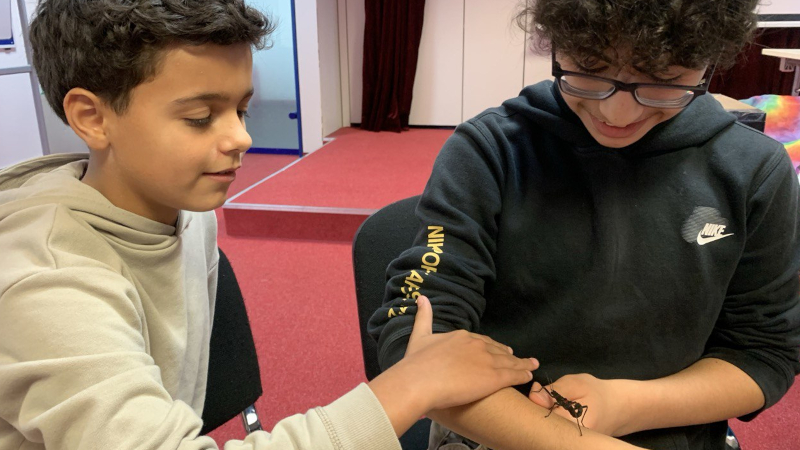 Schülerseminar R6 &amp; G6: Insekten live erleben